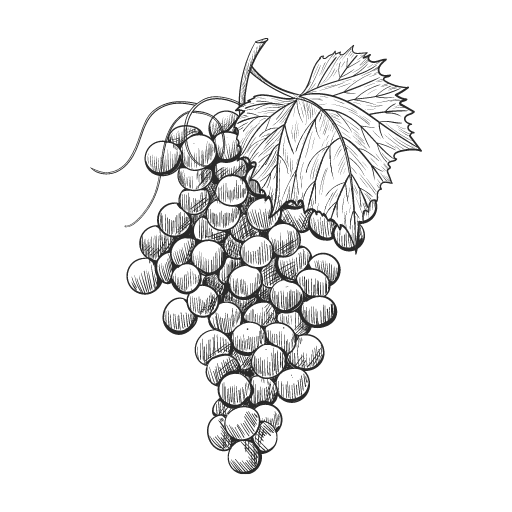 Grapes in a Vine
